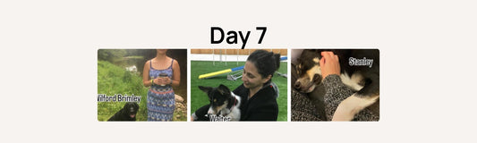 Day 7 - About Gillian Alton