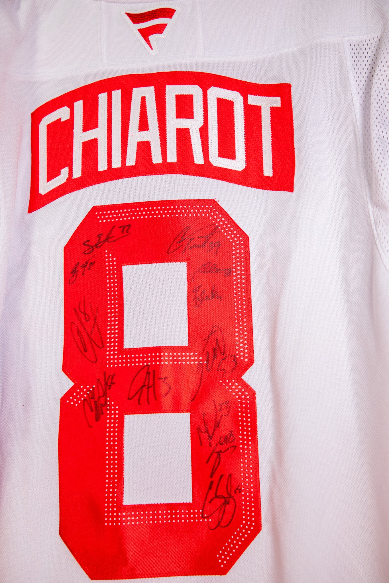Limited Edition - Outdoor Team Signed Chiarot Detroit Red Wings