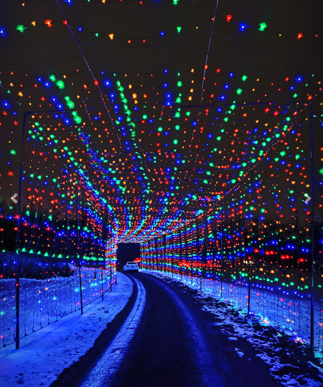 Bingemans Gift of Lights - Walk Night