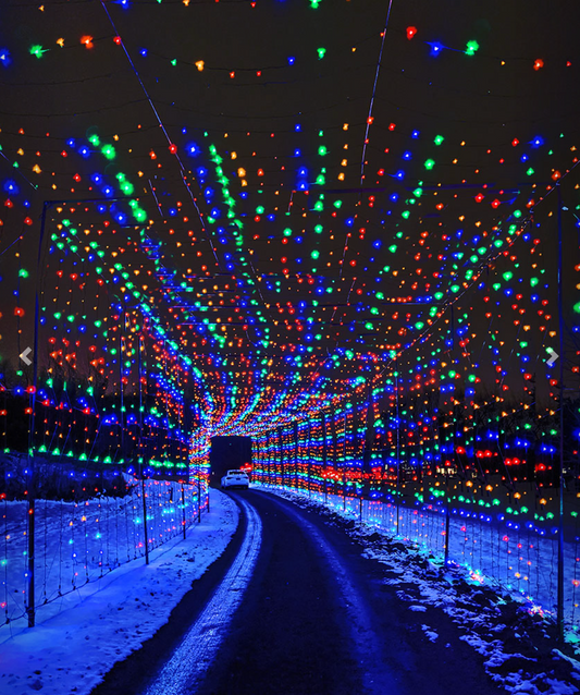 Bingemans Gift of Lights - Walk Night